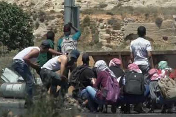 阅站漫画app最新版：免费搜索全网漫画，畅享多种便捷阅读体验