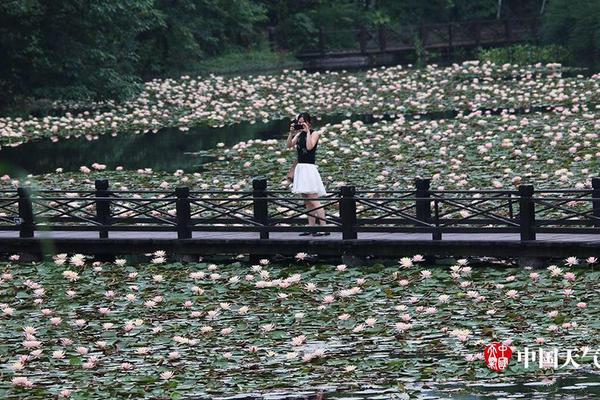 《海贼王第890集》在线观看