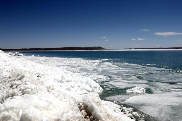 《海贼王第890集》在线观看