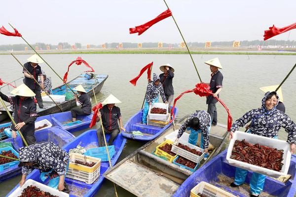 《海贼王第890集》在线观看