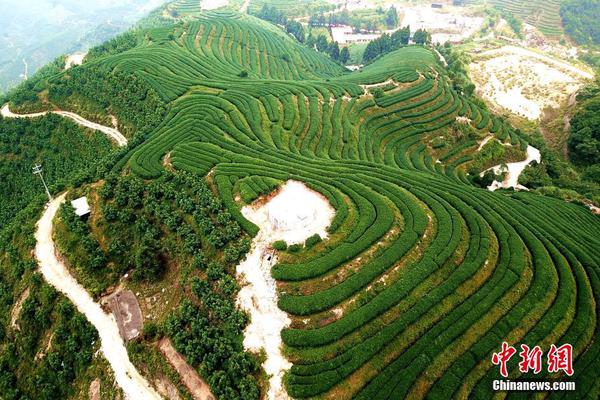 斗破苍穹老粉必看！正版免费观看渠道及支持正版的意义