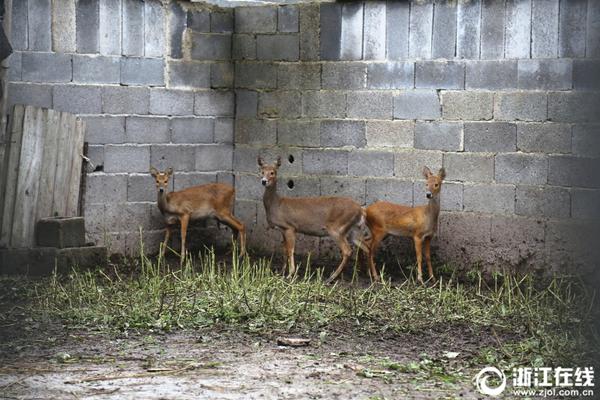 网络文学爱好者必读!新笔趣阁现状及使用建议大揭秘?