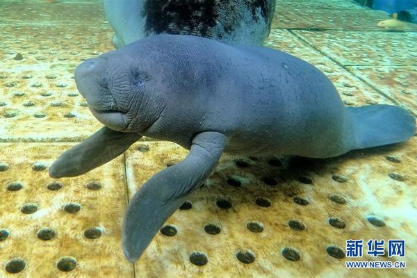 《海贼王第890集》在线观看