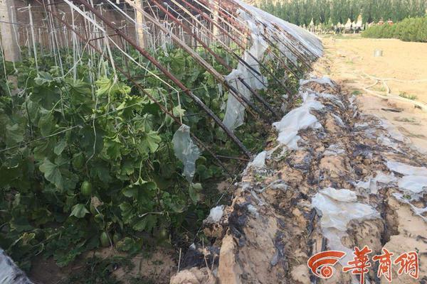 免费漫画阅站app下载安装无广告，畅享丰富漫画资源