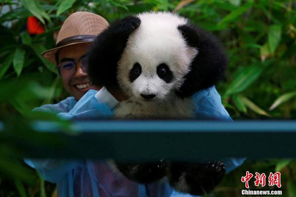 同人：约会大作战datealive ex章节（3） ast存亡战 第一节