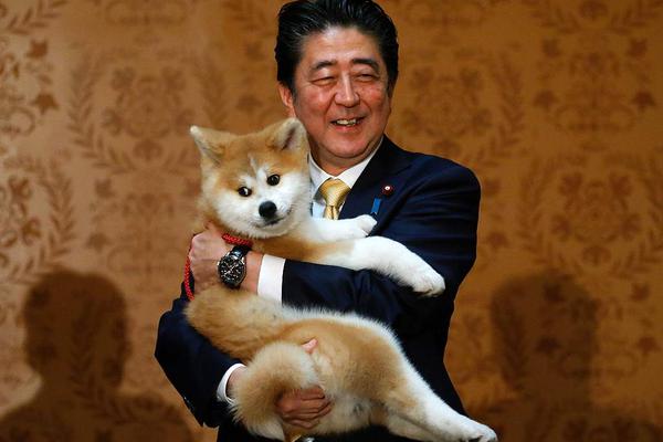 免费漫画阅站官方正版：无广告弹窗，全网漫画免费看