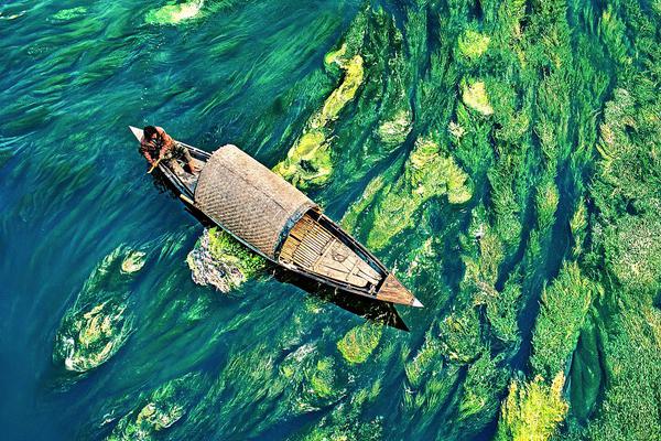 免费在线可阅读漫画成首选，却面临凯发k8国际首页登录的版权等难题待剖析？