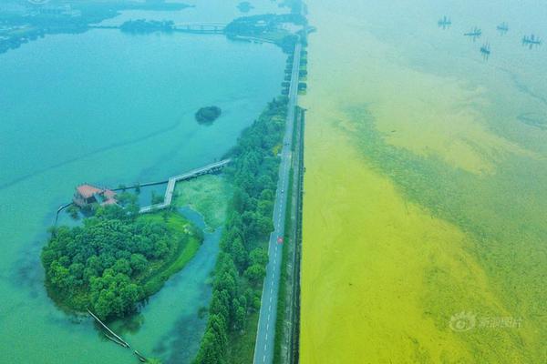 免费漫画阅站app下载安装无广告，畅享丰富漫画资源