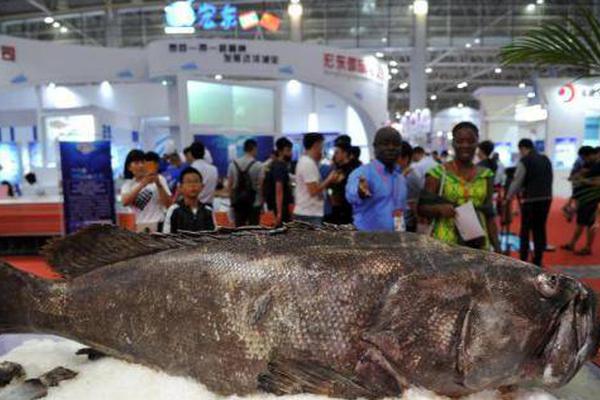 武炼巅峰漫画免费完整版