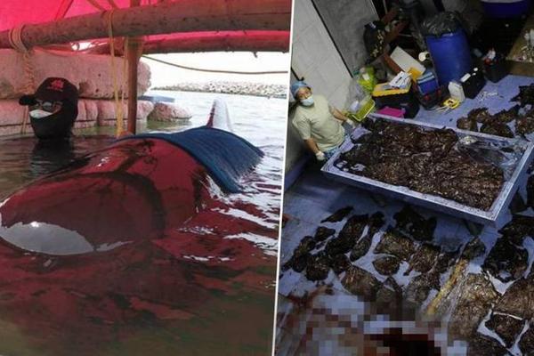 笔趣阁手机版：优质小说阅读软件，类型全且可自由查找