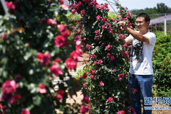 最火丑女图片大全