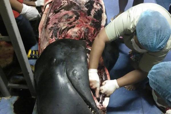 网络文学爱好者必读！新笔趣阁现状及使用建议大揭秘？