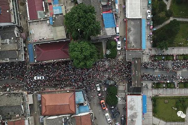 《海贼王第890集》在线观看