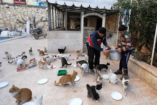 哔哩哔哩隐藏内容怎么找？特殊标签与搜索技巧是关键