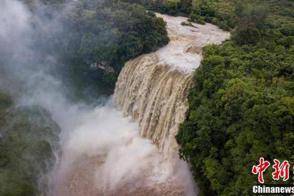 免费漫画阅站app下载安装无广告，畅享丰富漫画资源