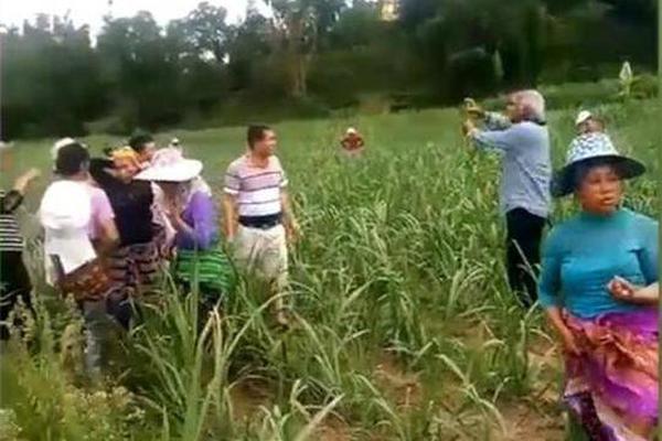 备受关注的死神230模型，设计与工艺究竟有多出色？