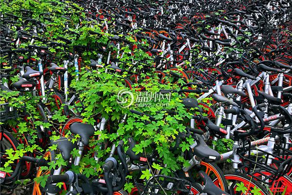 免费漫画阅站app下载安装无广告，畅享丰富漫画资源