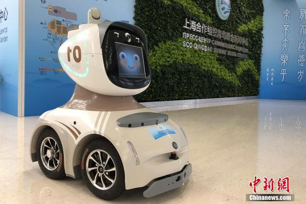 花城谢怜毛笔开车