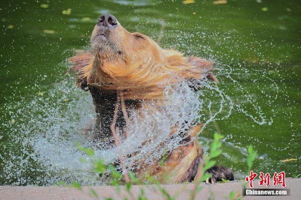 免费在线可阅读漫画成首选,却面临凯发k8国际首页登录的版权等难题待剖析?