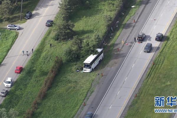 独步逍遥免费看樱花布米米