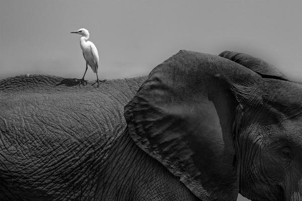 影视作品中万人迷反派为何更吸睛？如何塑造有魅力反派？