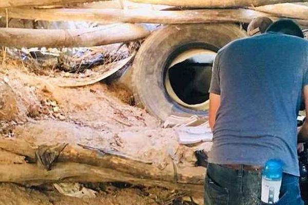 校花的贴身高手林逸身份