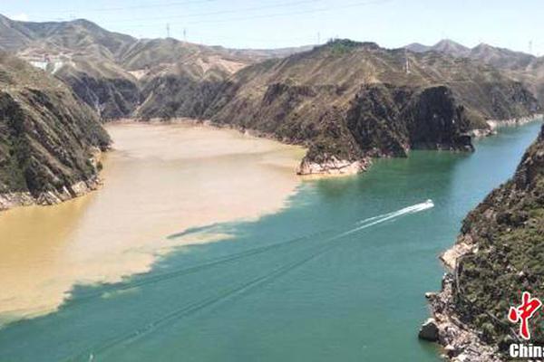 网络文学爱好者必读！新笔趣阁现状及使用建议大揭秘？