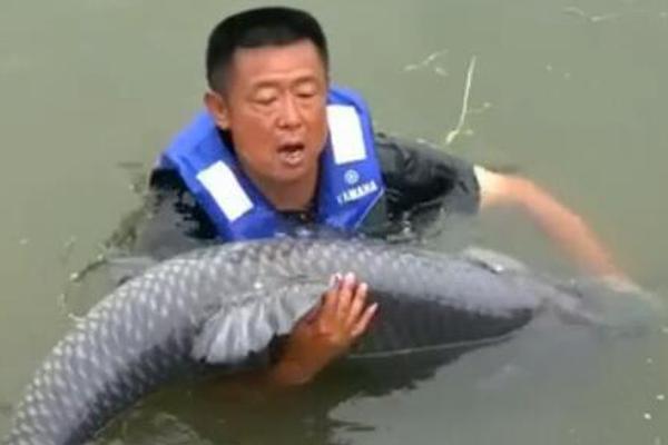 备受关注的死神230模型，设计与工艺究竟有多出色？