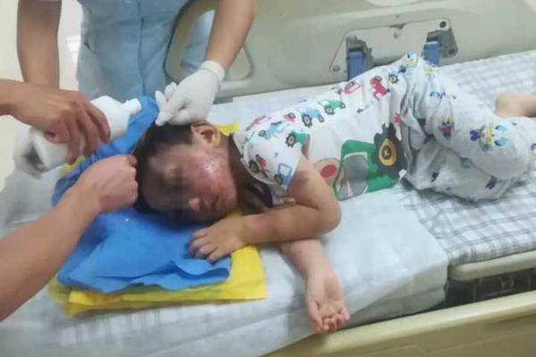 《海贼王第890集》在线观看