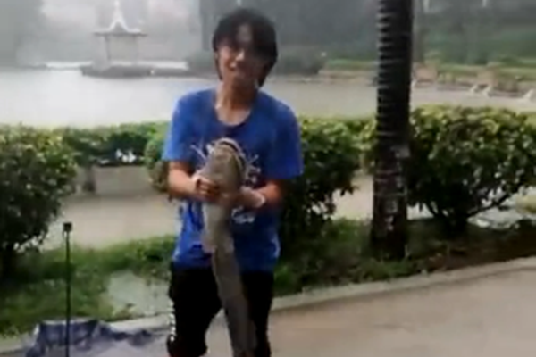 《海贼王第890集》在线观看