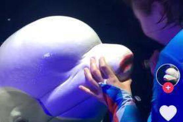 唐门英雄传漫画下拉式