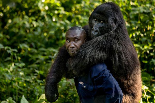 全是法师漫画在线免费