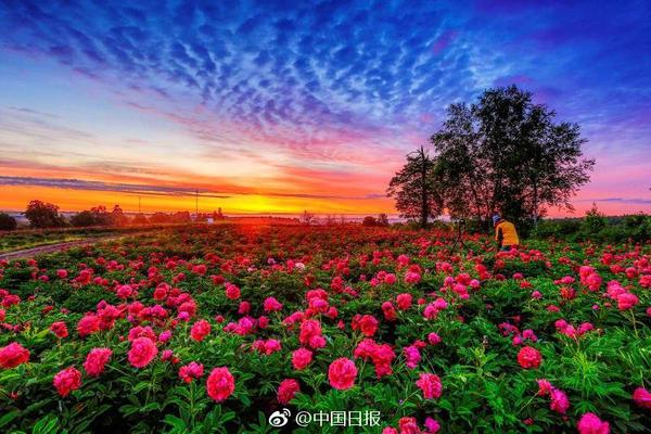 斗2绝世唐门漫画全集