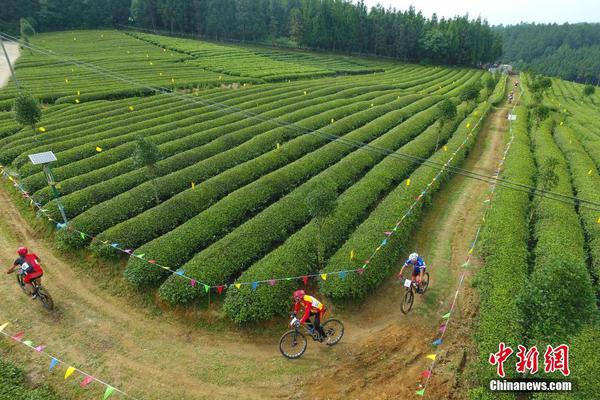 《海贼王第890集》在线观看