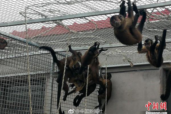 免费漫画阅站官方正版：无广告弹窗，全网漫画免费看