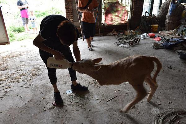 斗破苍穹老粉必看！正版免费观看渠道及支持正版的意义