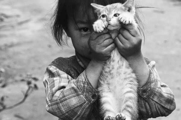 同人:约会大作战datealive ex章节(3) ast存亡战 第一节