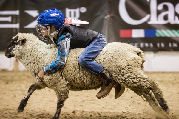 《海贼王第890集》在线观看