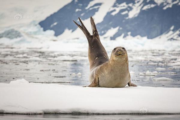 哔哩哔哩隐藏内容怎么找？特殊标签与搜索技巧是关键