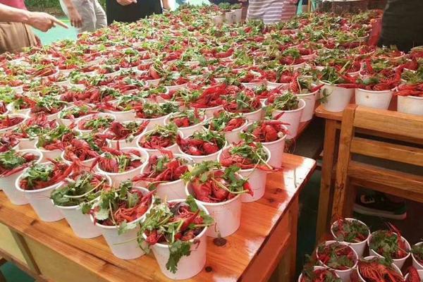 备受关注的死神230模型,设计与工艺究竟有多出色?