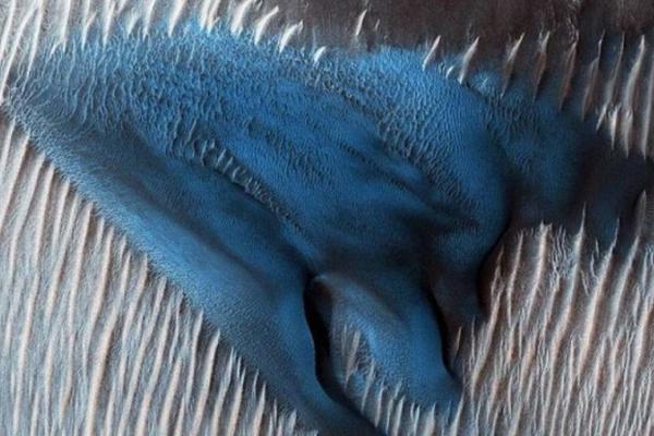 《海贼王第890集》在线观看