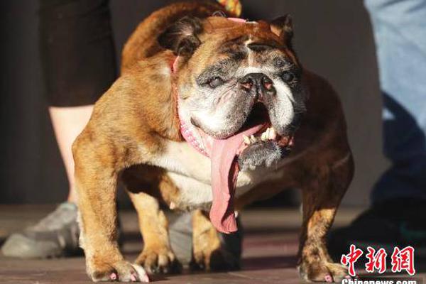 斗破苍穹老粉必看！正版免费观看渠道及支持正版的意义