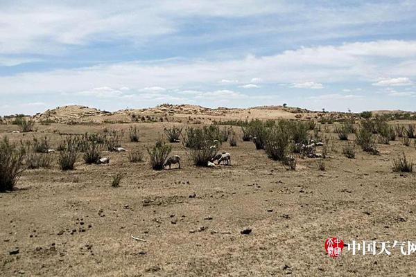 免费在线可阅读漫画成首选，却面临凯发k8国际首页登录的版权等难题待剖析？