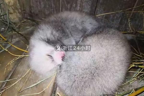 斗罗大陆动漫完整免费版在线观看