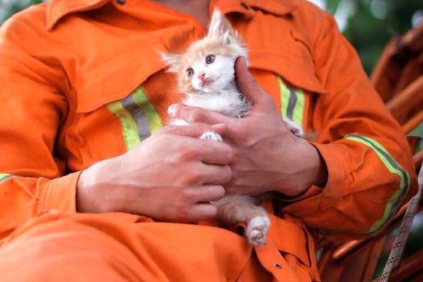 阅站漫画：资源丰富更新快，免费福利多，阅读体验超棒