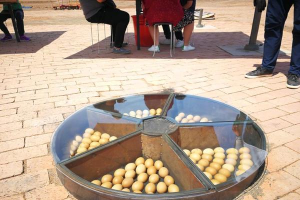 妹子与科学免费阅读