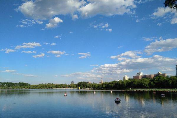 免费漫画阅站官方正版：无广告弹窗，全网漫画免费看