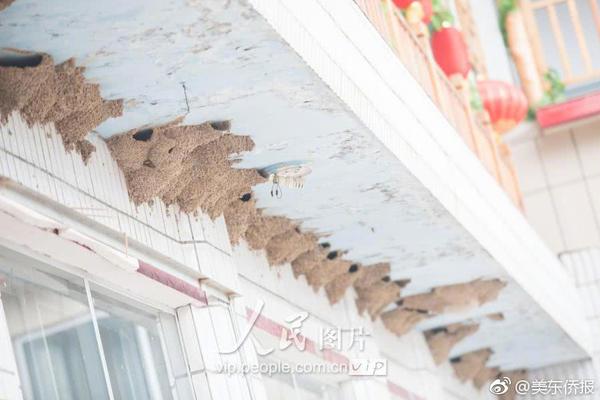 我的漫画老师应该怎么写