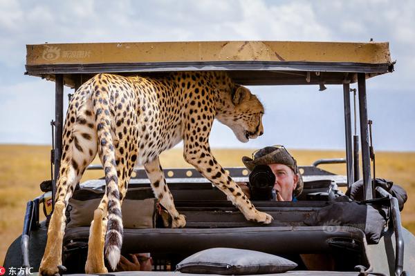 影视作品中万人迷反派为何更吸睛?如何塑造有魅力反派?