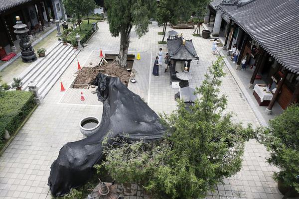 阅站漫画app最新版：免费搜索全网漫画，畅享多种便捷阅读体验